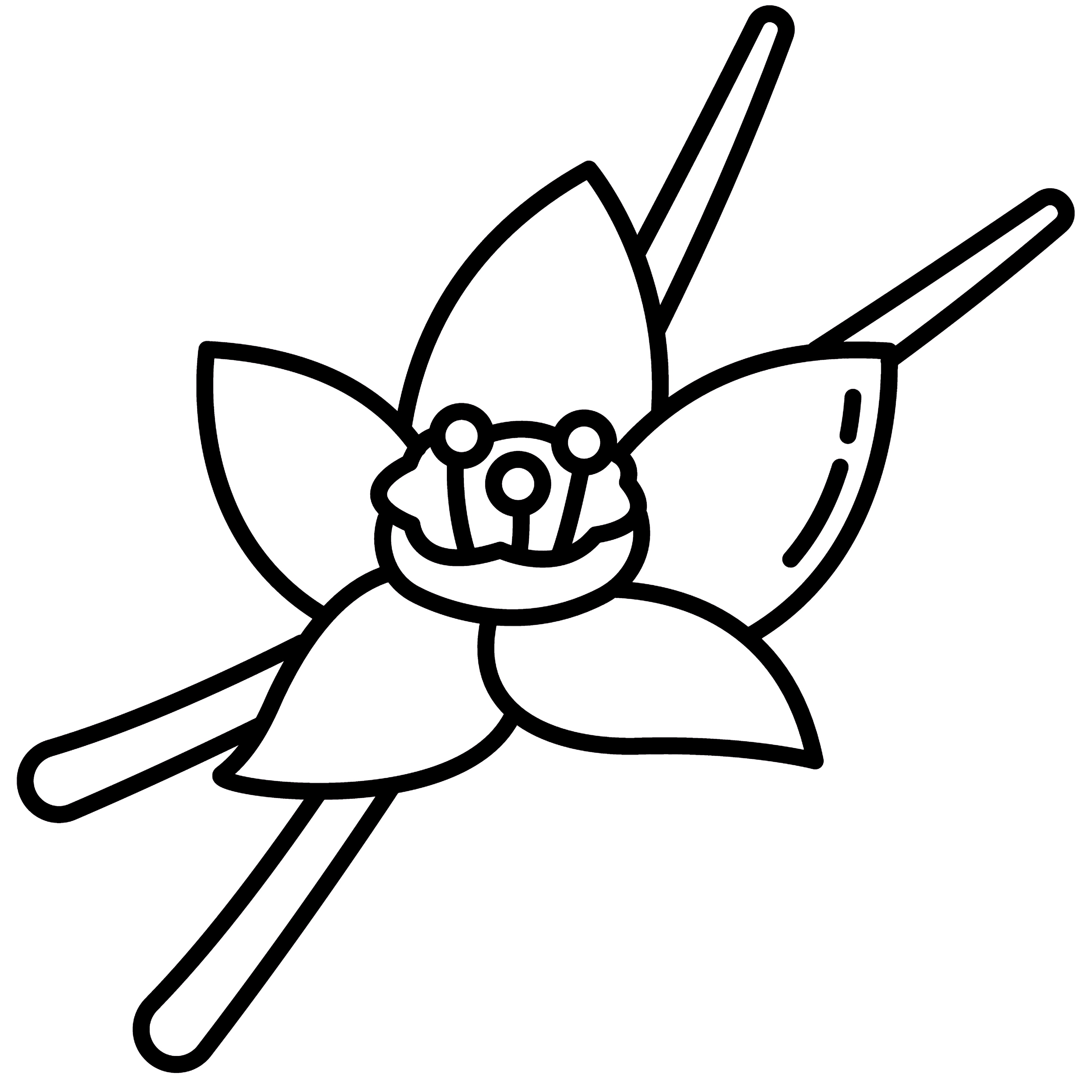 vanilka ikonka kopie